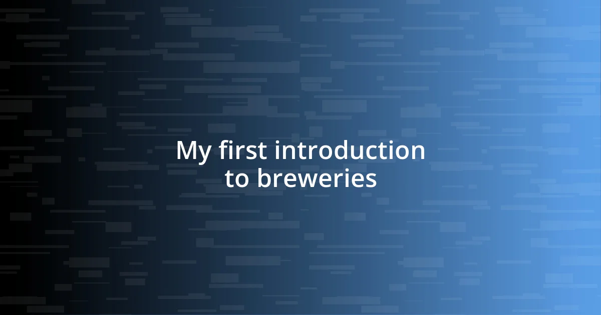 My first introduction to breweries