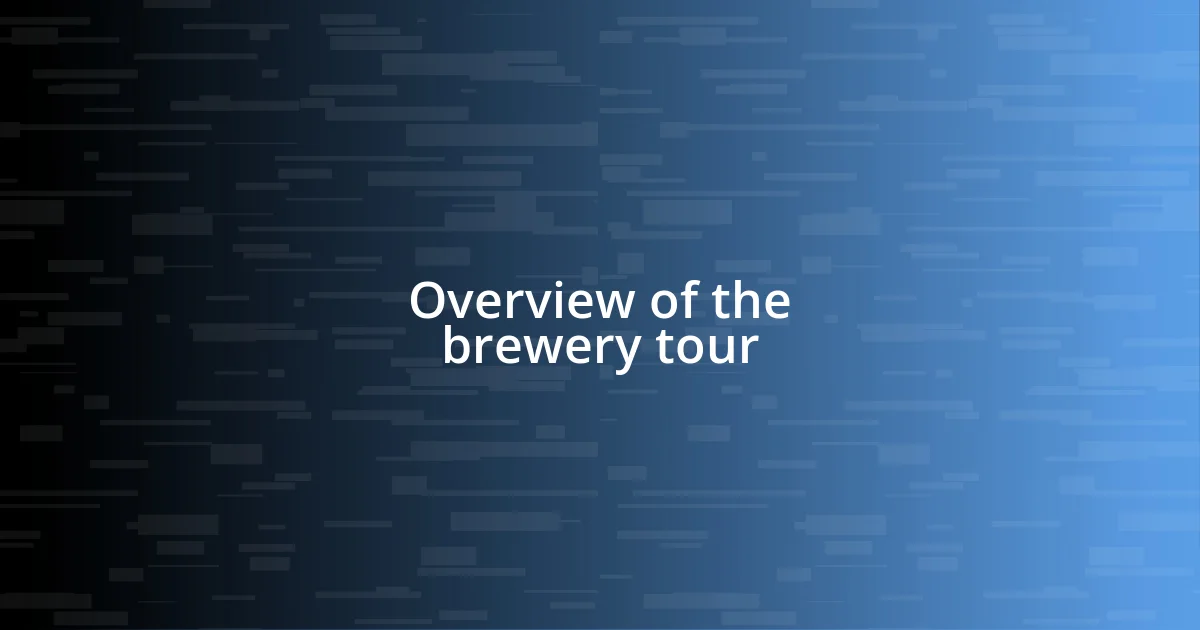 Overview of the brewery tour